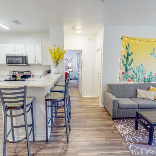 Open-concept renovated kitchen and living room at Lakeside Student Living